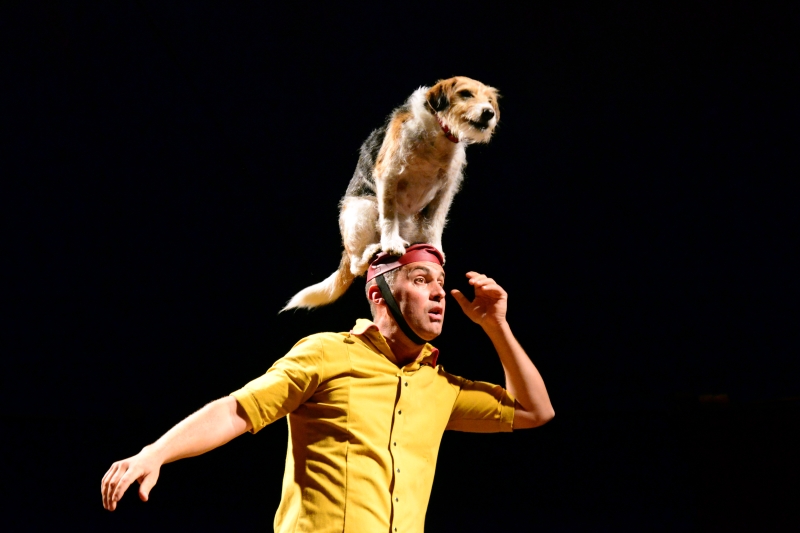 Le Cabaret renversé